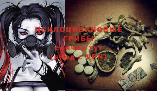 эйфоретик Алексеевка