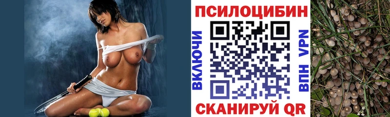 Галлюциногенные грибы мицелий  хочу   Заинск 